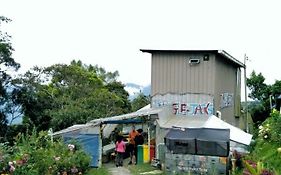 Jungle Jack Backpackers Hostel